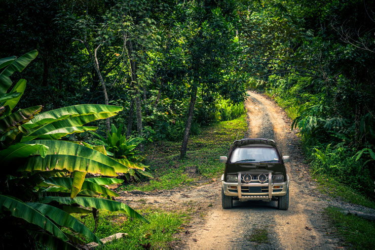 SUV im Dschungel